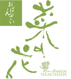 おばんざい菜の花